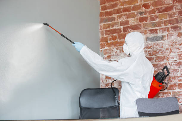 Best Residential Mold Inspection & Testing  in Black Diamond, FL