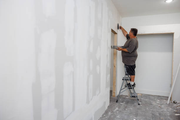 Best Environmental Consulting for Mold Prevention  in Black Diamond, FL