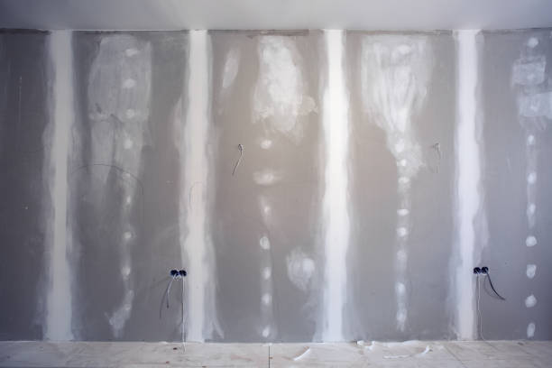 Professional Mold Removal in Black Diamond, FL